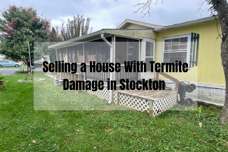 Selling a House With Termite Damage in Stockton